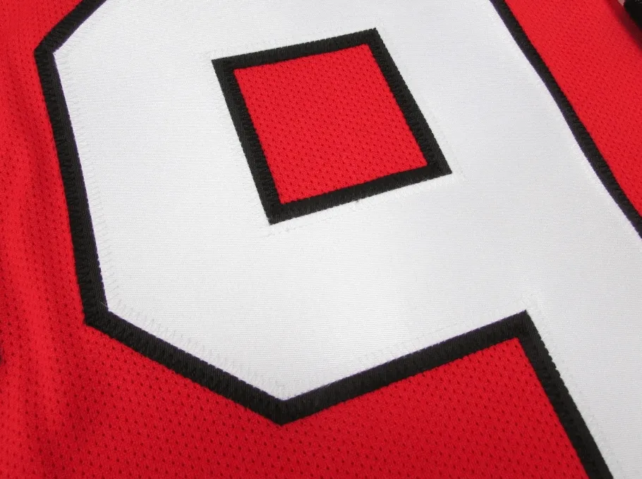 Corey Crawford Rockford Icehogs Premier Replica Red Jersey