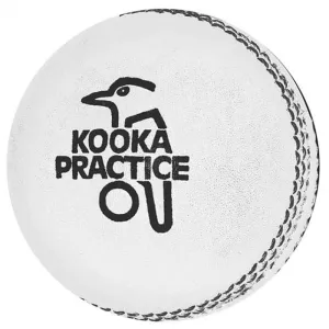 Kookaburra Practice Cricket Ball